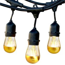 Budget 😀 Brightech Ambience Pro Gold Tip Outdoor Waterproof String Lights 48' Hanging 🛒