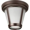 Coupon ???? Progress Lighting 1-17W LED 3000K Flush Mount, Antique Bronze ????