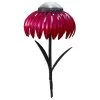 Best deal ???? Desert Steel Coneflower Solar Garden Light ????