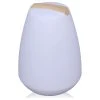 Best reviews of ???? Outdoor Floor Lamps Vessel Portable LED Lamp ????