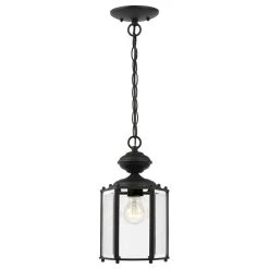Cheapest 😀 Sea Gull Lighting 1-Light Outdoor Semi-Flush Convertible Pendant, Black 🌟