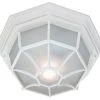 Coupon ???? Acclaim Lighting 2002 2 Light 11"W Outdoor Flushmount Ceiling - Textured White ????