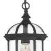 Buy ???? Savoy House Kensington 1-Light Outdoor Hanging Lantern, Textured Black ????
