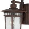Best reviews of ⌛ Satco Products Nuvo Lighting 60/4952 Cove Neck - 1 Light - 12" Outdoor Hanging ????
