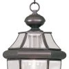 Coupon ???? Livex Lighting Inc. Monterey Outdoor Chain-Hang Light, Antique Brass, Bronze ????