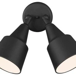 Best reviews of ⌛ Sea Gull Lighting Sea Gull 2 Light Adjustable Swivel Flood Light, Black/Aluminum 🤩
